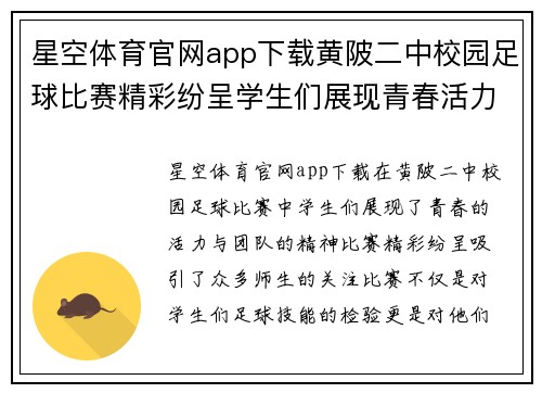 星空体育官网app下载黄陂二中校园足球比赛精彩纷呈学生们展现青春活力与团队精神