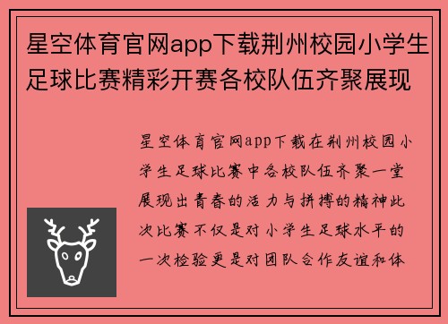 星空体育官网app下载荆州校园小学生足球比赛精彩开赛各校队伍齐聚展现青春风采
